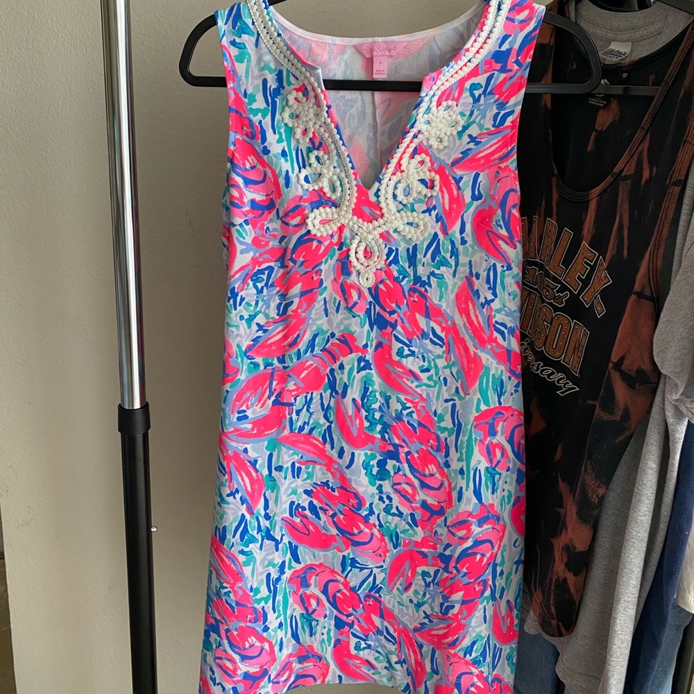 Lily Pulitzer Dress Embroidery